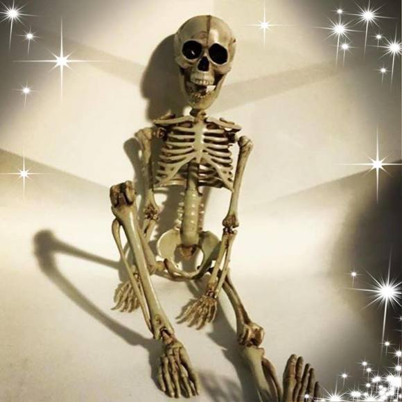 Meet your Posher, Orion - Picture 1 of 1